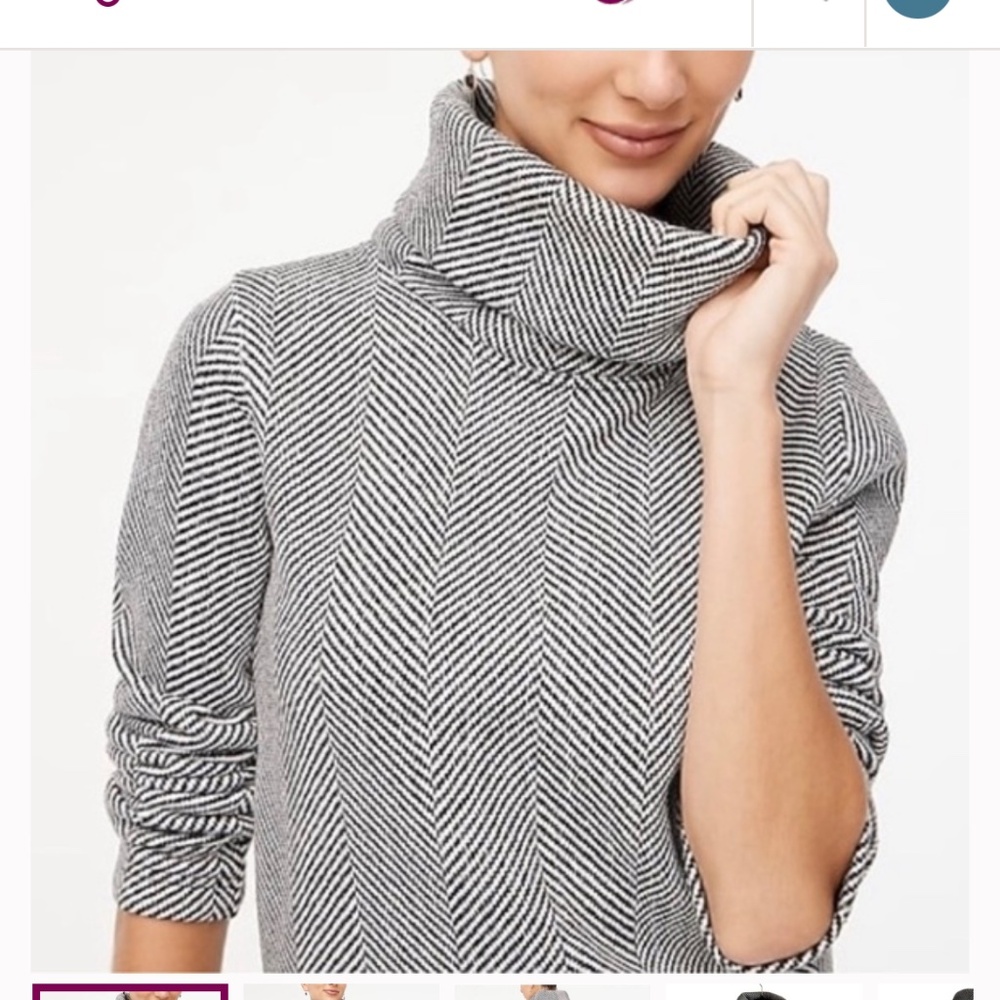Turtleneck Sweatshirt